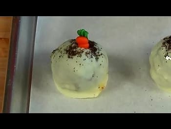 Carrot Cake Truffle Balls