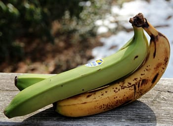 The Weirdest Bananas I’ve Ever Seen