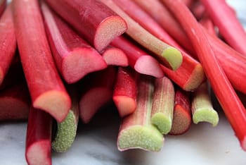 rhubarb-dede-wilson